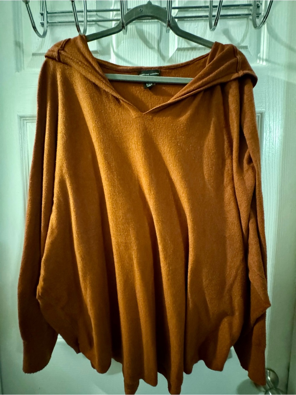 Adrienne Vittadini Hooded Pullover in Rust Brown